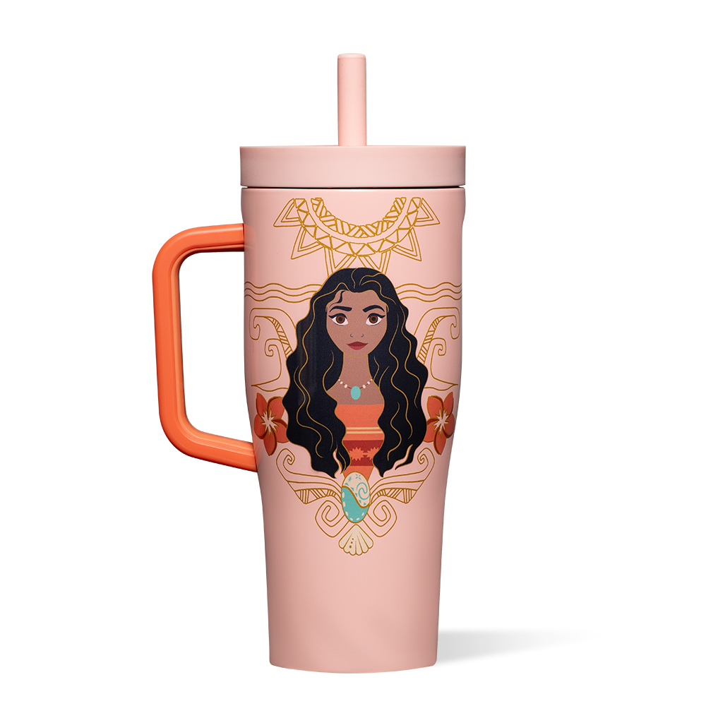 disney-princess-leakproof-cruiser-r6 DIS2222DP-M-01.png